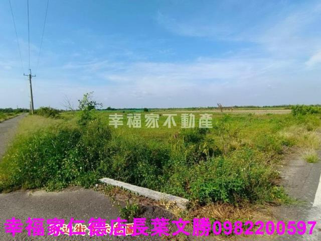 將軍農地-5