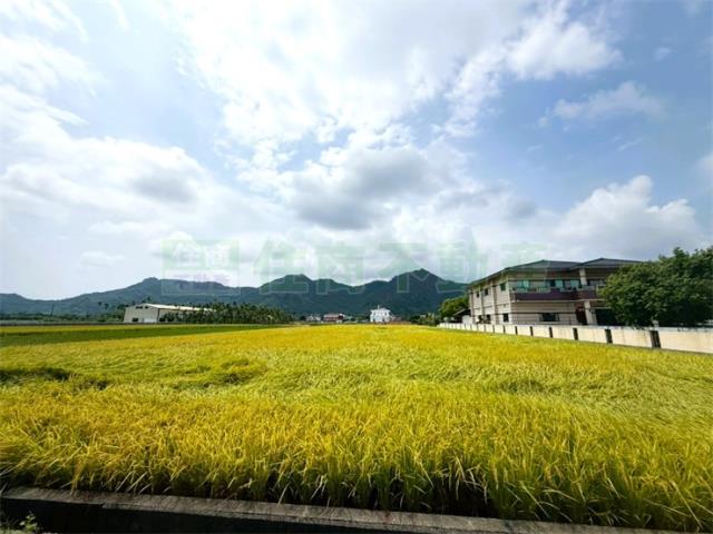 美濃農地-1
