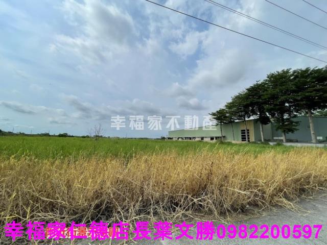 台南農地-14