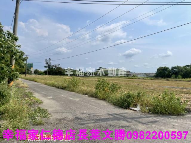 台南農地-7