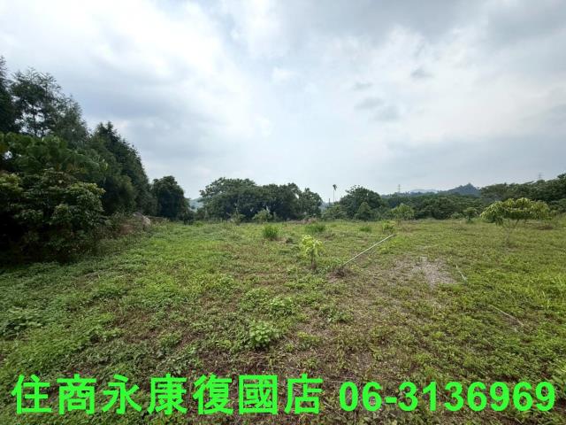 台南東山農地-5
