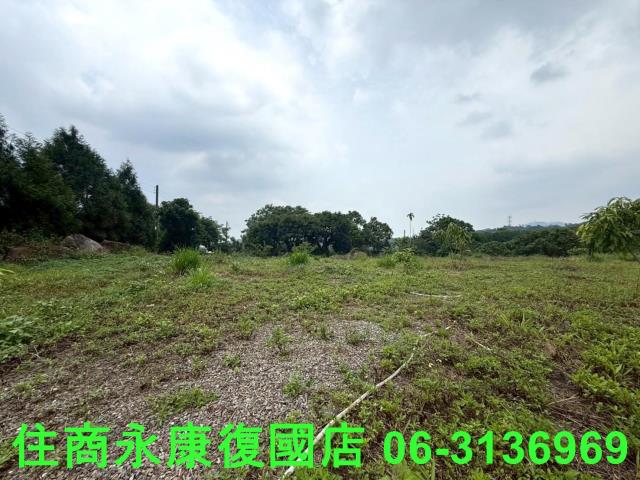 台南東山農地-6
