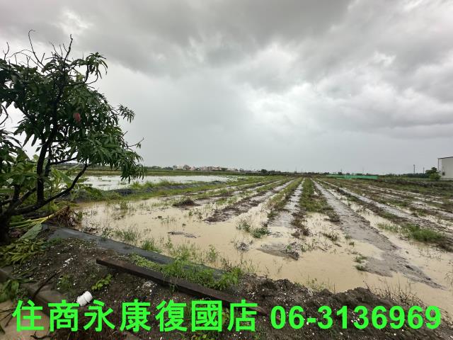台南鹽水農地-0
