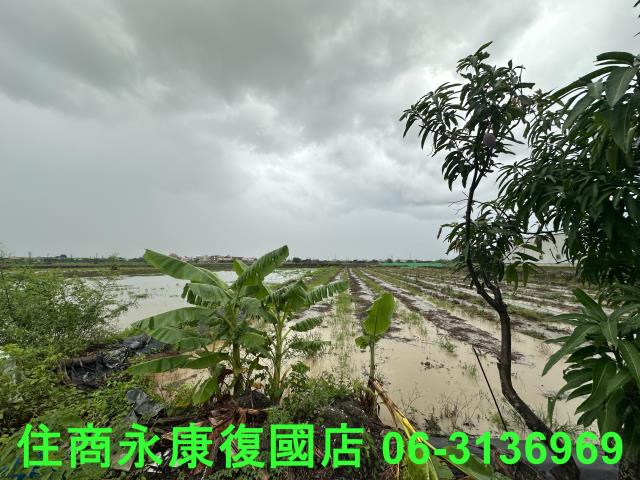台南鹽水農地-2