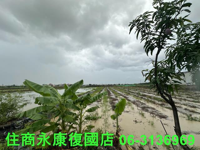 台南鹽水農地-3
