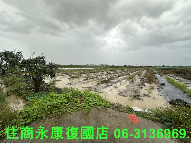 台南鹽水農地-4