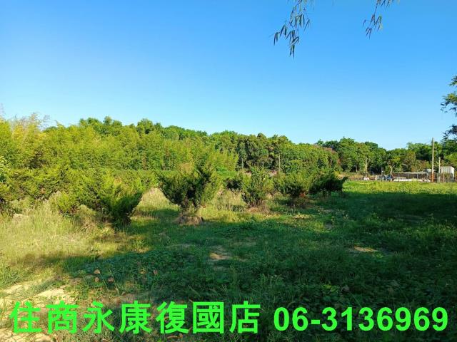 台南歸仁農地-9