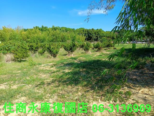 台南歸仁農地-2