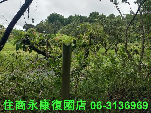台南官田農地-10