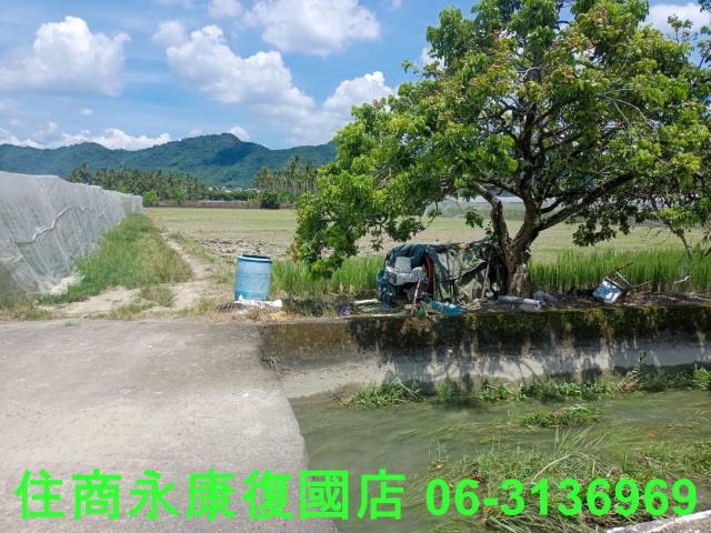 高雄旗山農地-4
