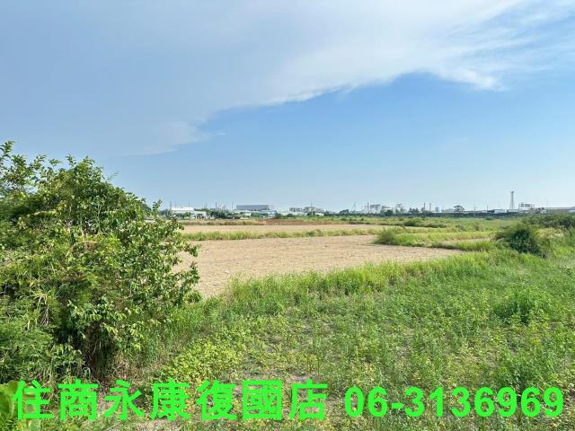 台南仁德農地-0