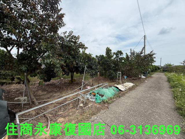 台南楠西農地-9