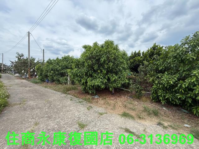 台南楠西農地-1