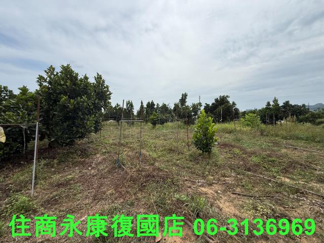 台南楠西農地-2