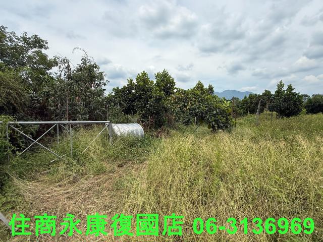 台南楠西農地-4