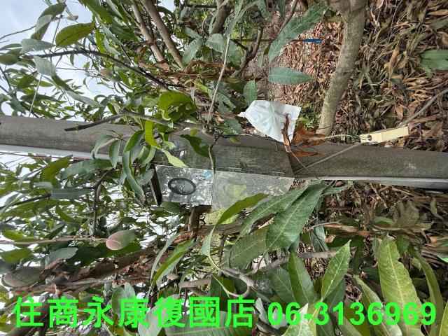 台南楠西農地-8