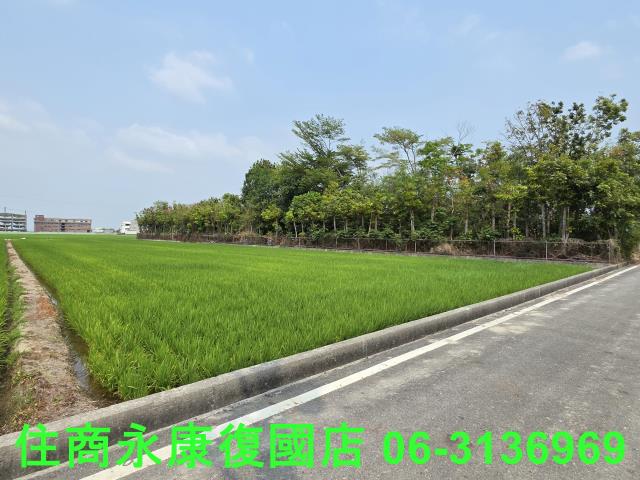 台南六甲農地-6