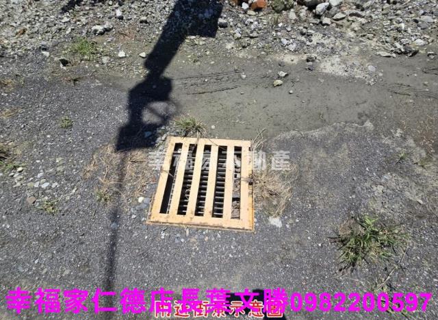台南仁德農地-12