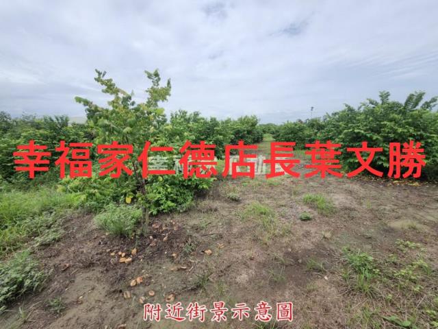 台南山上農地-9