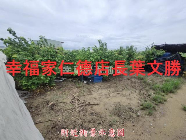 台南山上農地-13