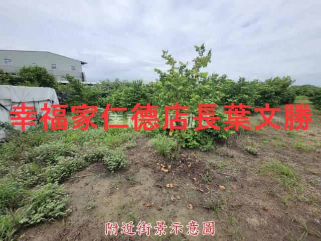 台南山上農地-2