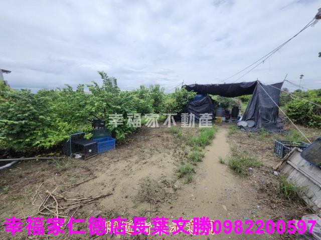 台南山上農地-6
