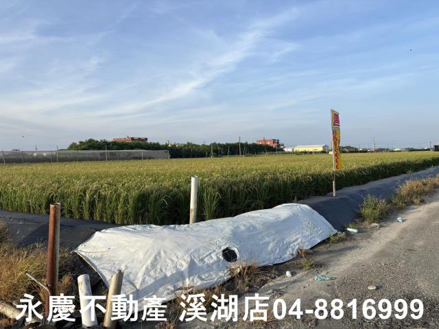 芳苑農地-1