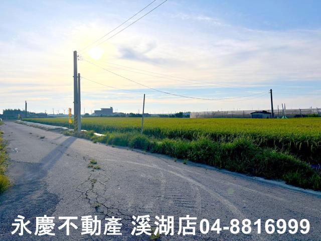 芳苑農地-4