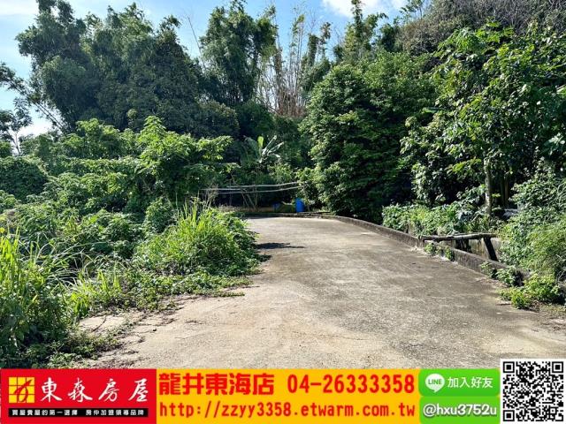 大肚農地-6