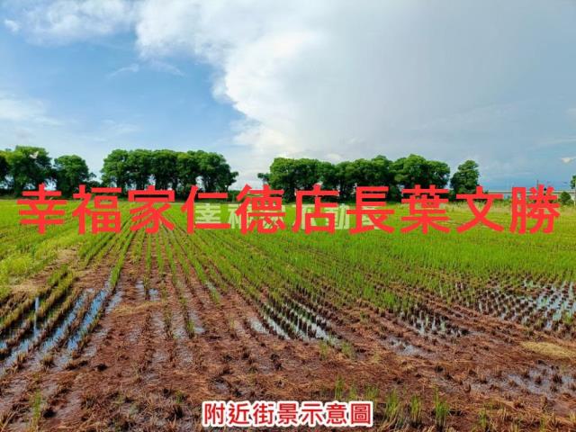 新營農地-1