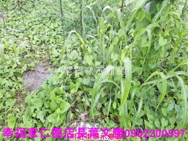 善化建地-4