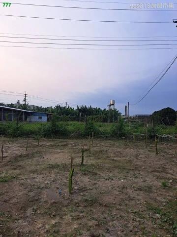 大樹農地-1