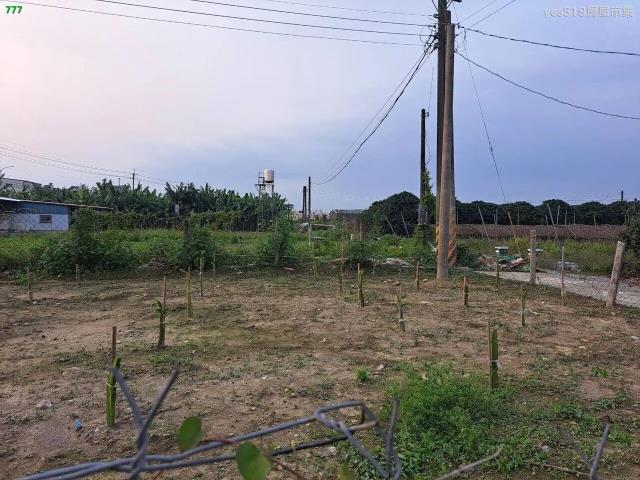 大樹農地-2