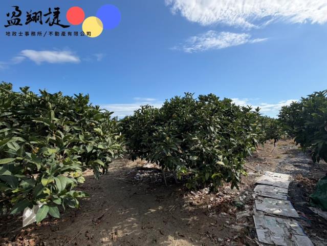 屏東農地-2