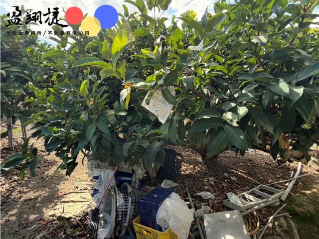 屏東農地-3