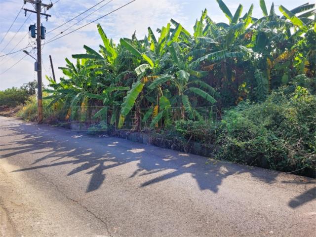 高雄農地-1