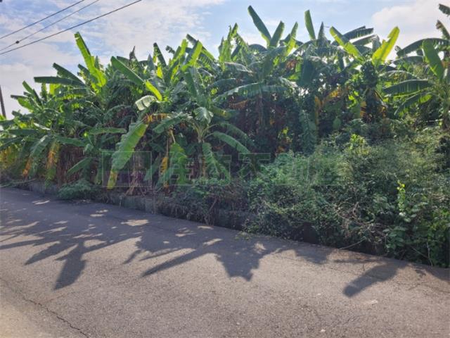 高雄農地-5