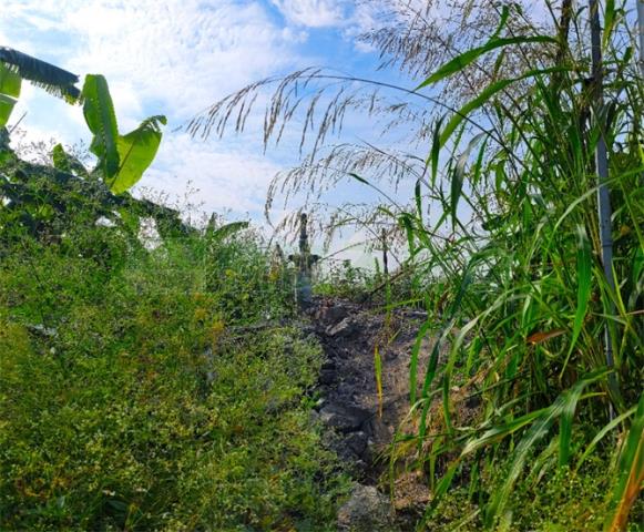 高雄農地-6