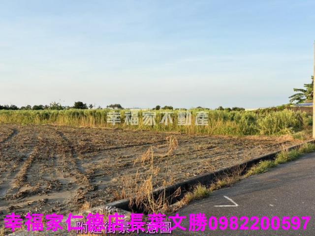 台南農地-9