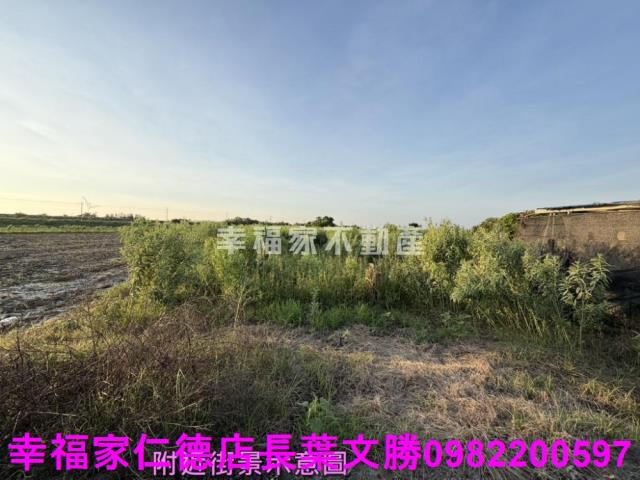 台南農地-13