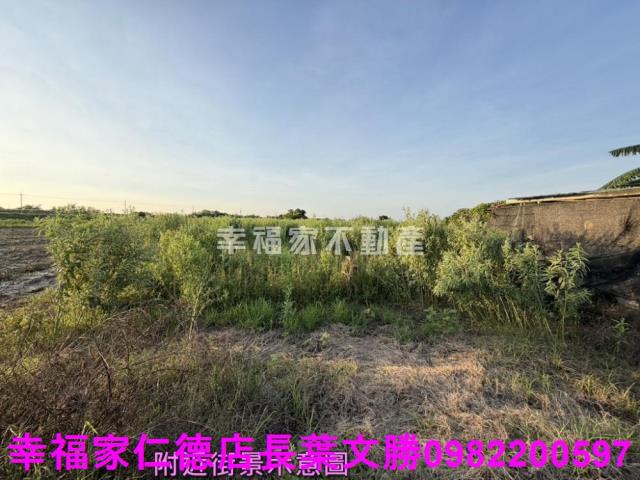 台南農地-2