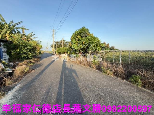 台南農地-3
