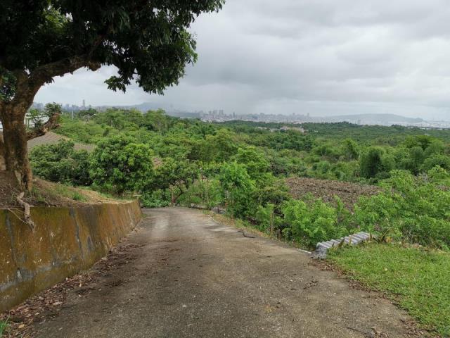 高雄鳥松農地-3