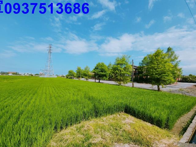 宜蘭宜蘭市農地-5