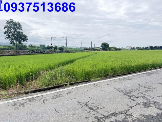 宜蘭頭城農地-1