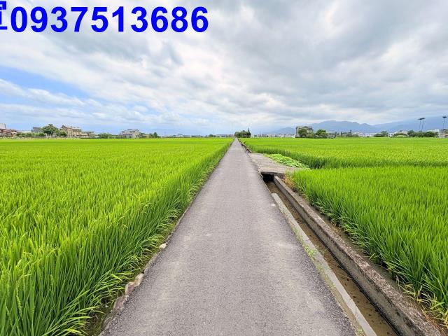 宜蘭宜蘭市農地-5