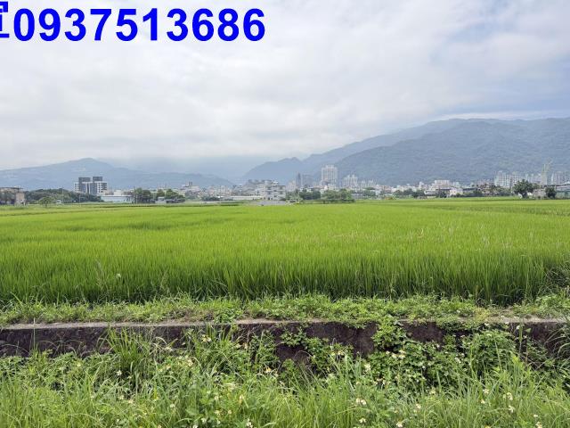 宜蘭礁溪農地-10