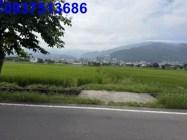宜蘭礁溪農地-1