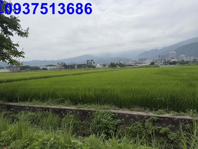 宜蘭礁溪農地-2