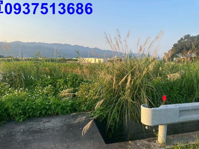 宜蘭礁溪農地-7